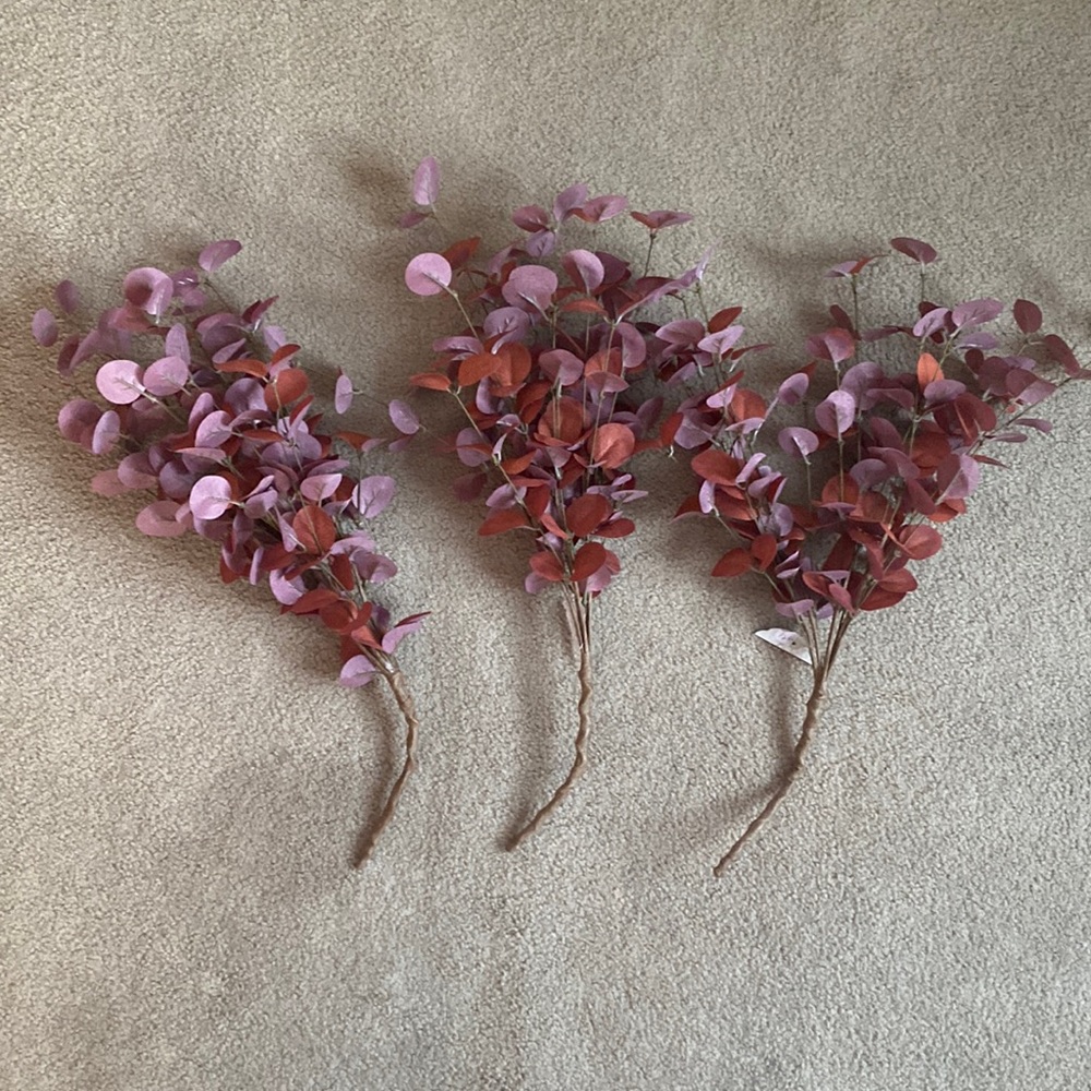 Ragoon House Rust/Burgundy Eucalyptus